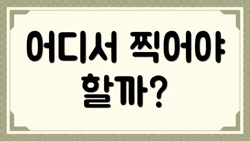 어디서 찍어야 할까?