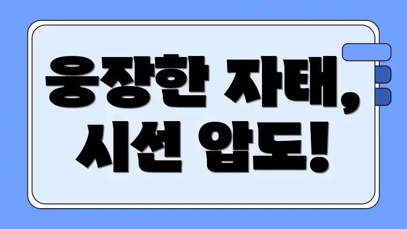 웅장한 자태, 시선 압도!