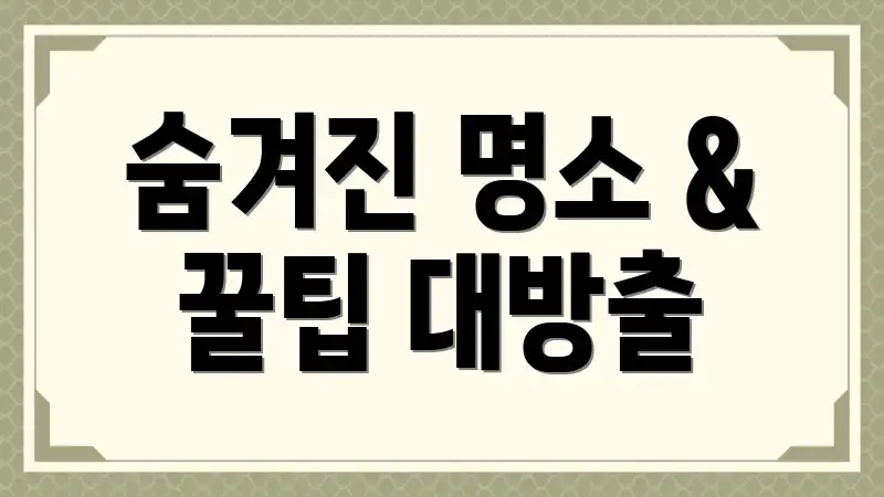 숨겨진 명소 & 꿀팁 대방출