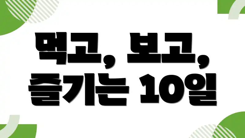 먹고, 보고, 즐기는 10일