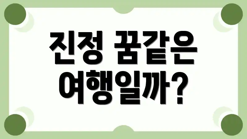 진정 꿈같은 여행일까?