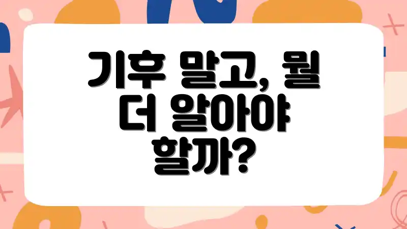 기후 말고, 뭘 더 알아야 할까?
