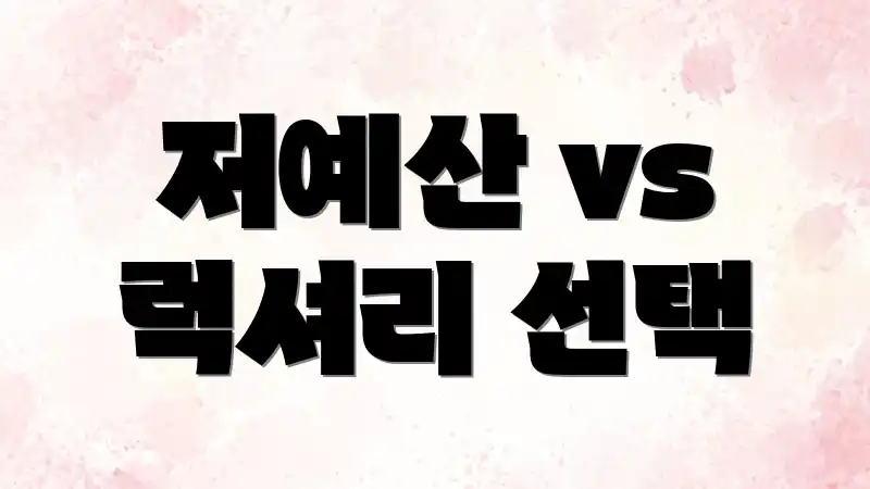 저예산 vs 럭셔리 선택