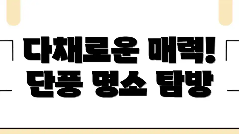 다채로운 매력! 단풍 명소 탐방