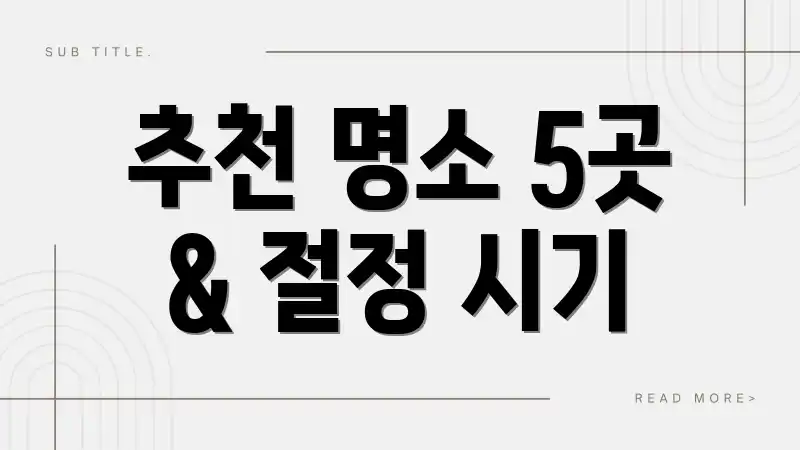 추천 명소 5곳 & 절정 시기