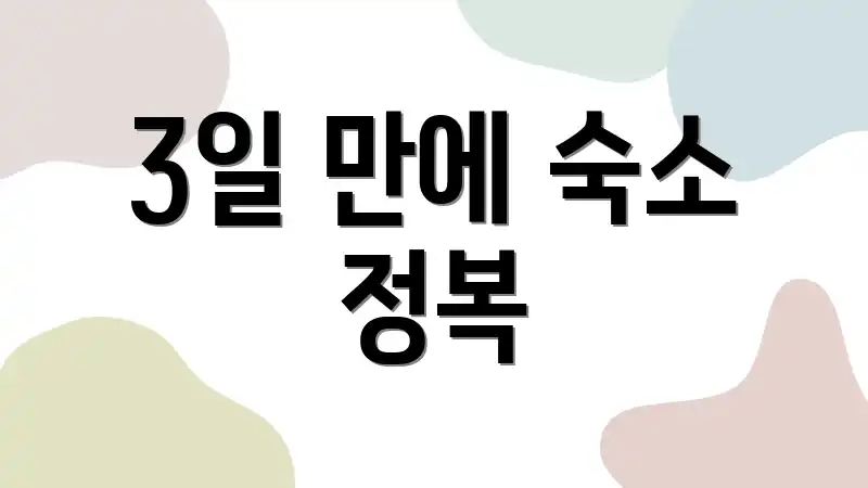 3일 만에 숙소 정복