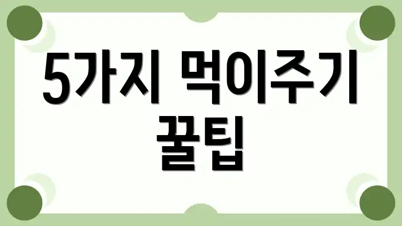 5가지 먹이주기 꿀팁