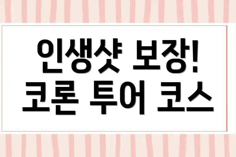 인생샷 보장! 코론 투어 코스