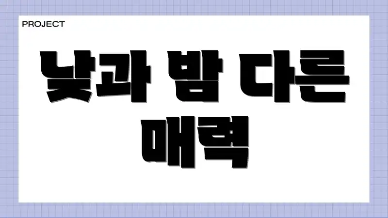 낮과 밤 다른 매력