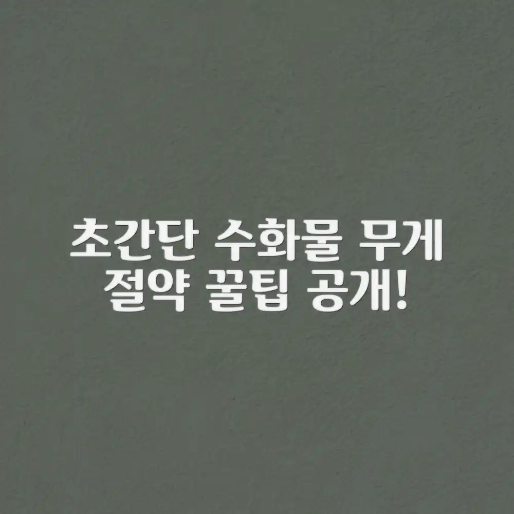 해외여행 수화물 무게, 놀라운 절약 꿀팁!